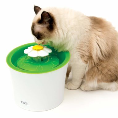 Abreuvoir fontaine avec filtre pour chats