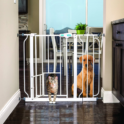 Barrière extensible pour chiens