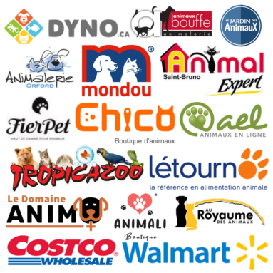 Les boutiques en ligne de nourriture et d’accessoires pour animaux