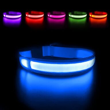 Collier lumineux rechargeable pour chiens