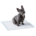 Lot de 150 tapis pour l’apprentissage de la propreté